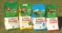 Osmocote Lawn Builder