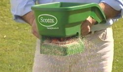 Osmocote Lawn Builder