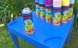 Plasti Kote Spray Paint Craft