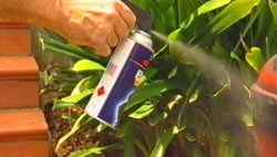 Plasti Kote Spray Paint Craft