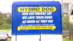 Hydrodog