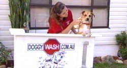 Doggy Wash