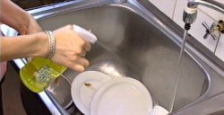 Dish Mist