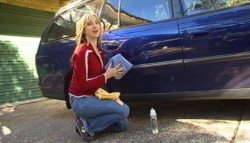 NoWet Waterless Car Wash