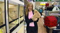 Pets Paradise (Franchise)