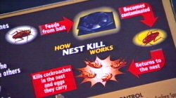 Mortein Nest Kill