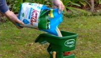 Osmocote Lawn Builder