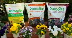 Osmocote Potting Mixes