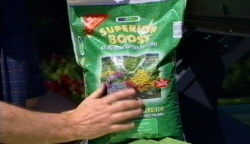 Horwitz  Veggie Patch