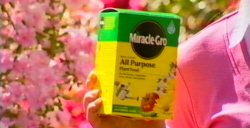 Osmocote Miracle Gro