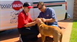 DoggyWash