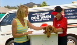 DoggyWash