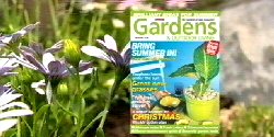 Horwitz  Waterwise Garden Bed