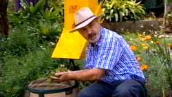 Horwitz - Hedgetrimmer