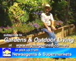 Garden Wall