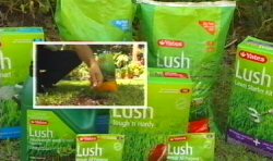 Horwitz  Lawn Maintenance