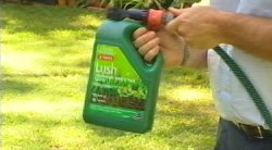 Horwitz  Lawn Maintenance