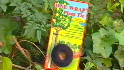 Velcro Brand One Wrap Plant Tie & Adjustable Ties