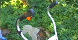 The Stihl Yard Boss