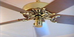 Ceiling Fans With Lights