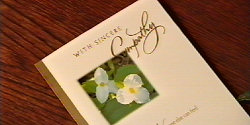 Funeral Insurance