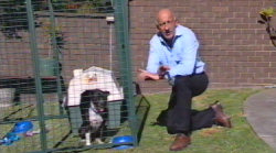 Kra-mar Kennel Run