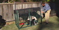 Kra-mar Kennel Run