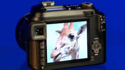 Samsung Pro 815