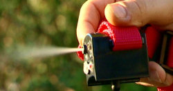 PetSafe Spray Bark Control Collar